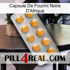 Africa Black Ant Capsule levitra1